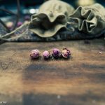 Dried Sour Cherry (Pitted)